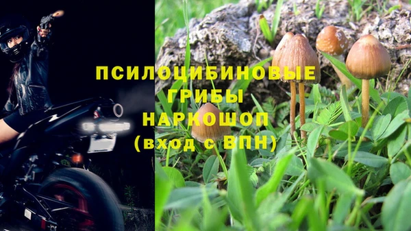 первитин Медвежьегорск