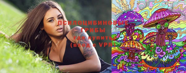 меф Мегион
